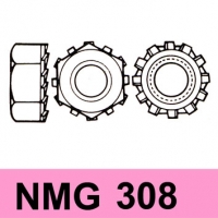 NMG 308