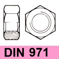 DIN 971